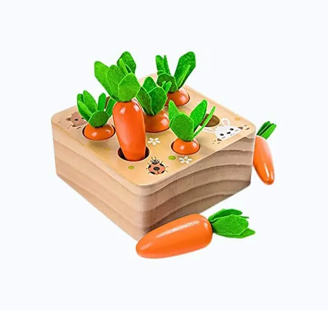 Product Image of the Carrot Garden Game