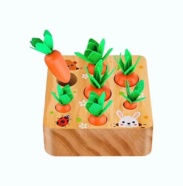 Product Image of the Carrot Harvest Toy