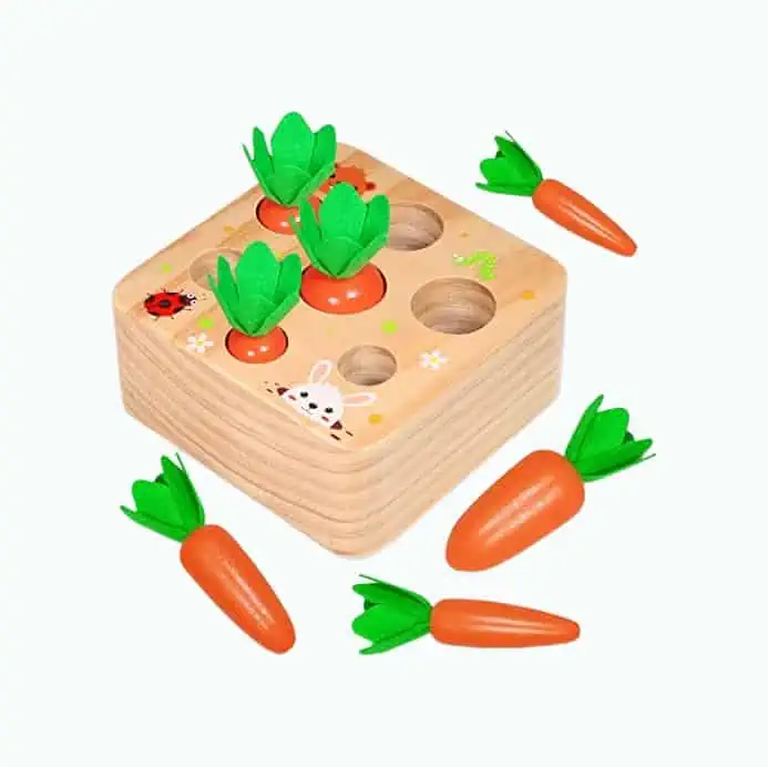 Product Image of the Carrot Learning Game