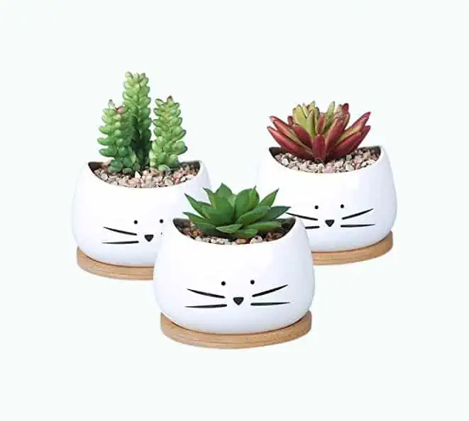 Product Image of the Cat Succulent Plant Pots