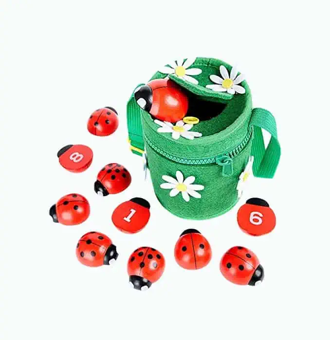 Product Image of the Counting Ladybugs