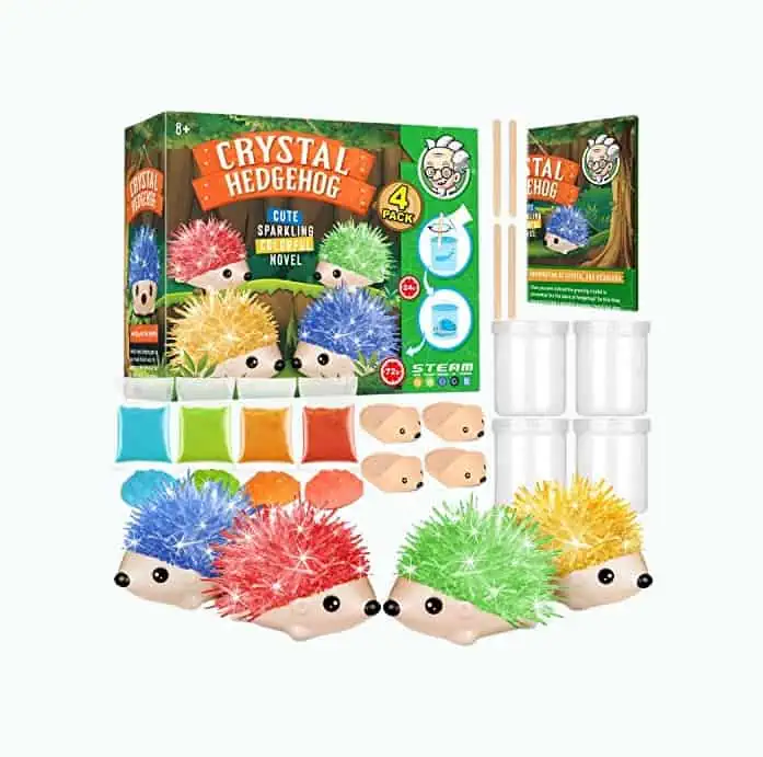 Product Image of the Crystal Growing Hedgehog Kit