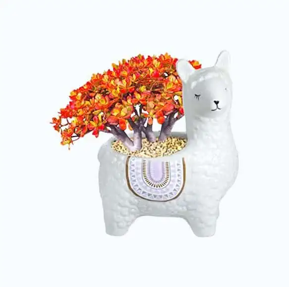 Product Image of the Cute Llama Ceramic Succulent Planter