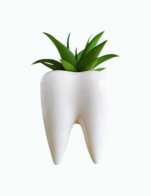 Product Image of the Cute Tooth Shaped Ceramic Succulent Cactus Flower Pot