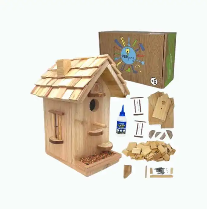 Product Image of the DIY Birdhouse Kit