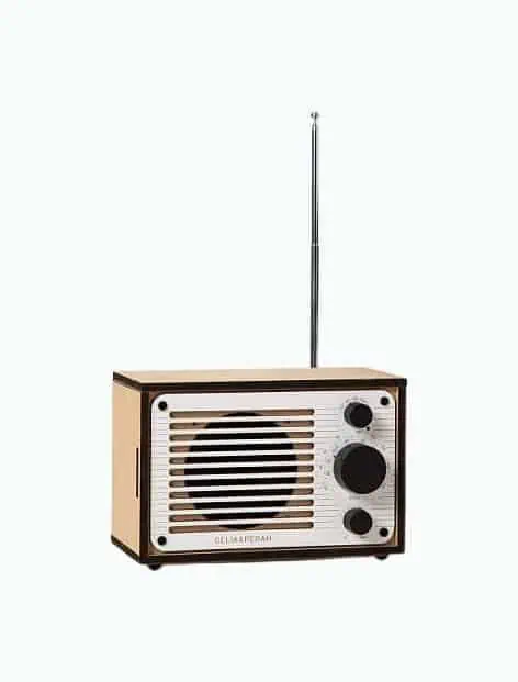 Product Image of the DIY Bluetooth FM Radio