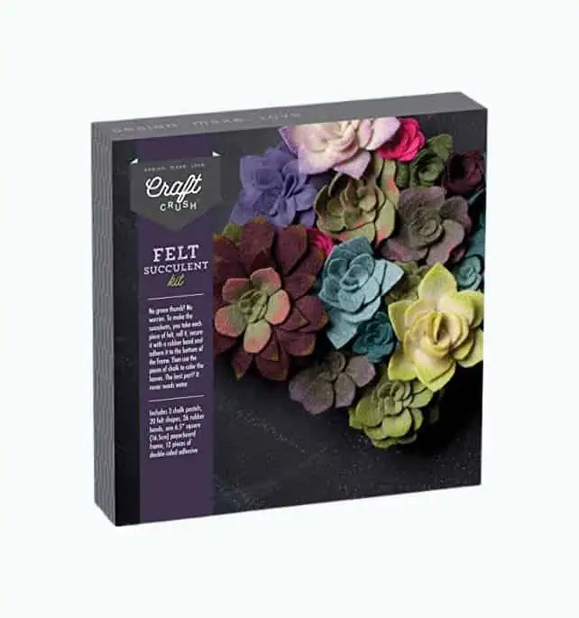Product Image of the DIY Felt Succulents Kit