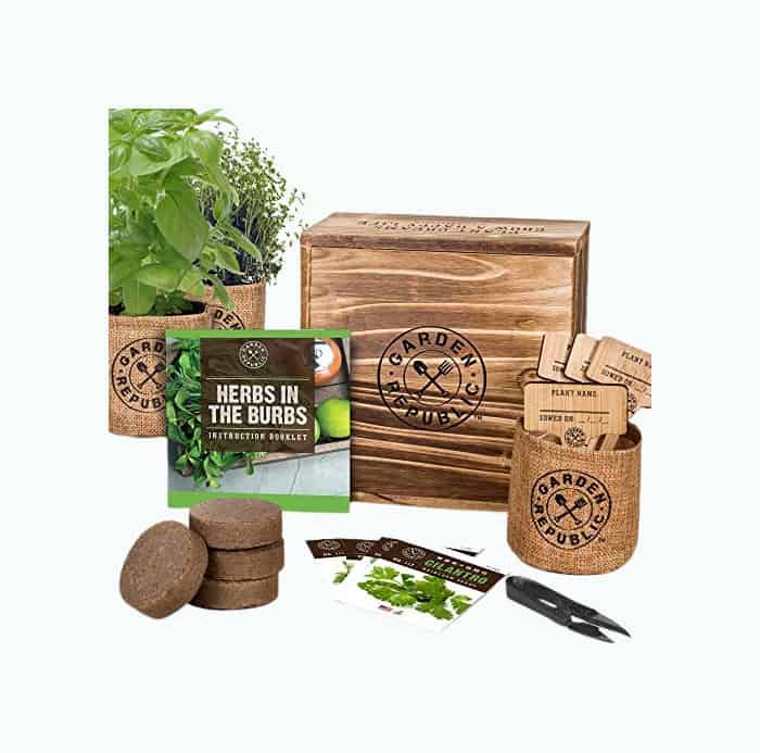 Product Image of the DIY Herb Garden Gift Box