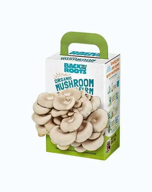 Product Image of the DIY Mushroom Kit