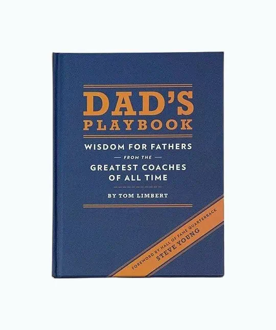 Product Image of the Dad's Playbook