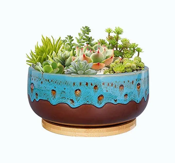 Product Image of the Decorative Succulent Planter Pot