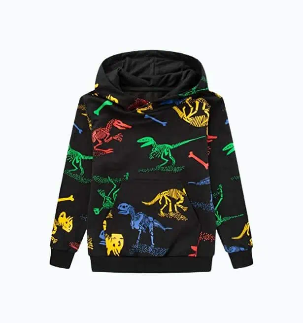 Product Image of the Dinosaur Hoodie