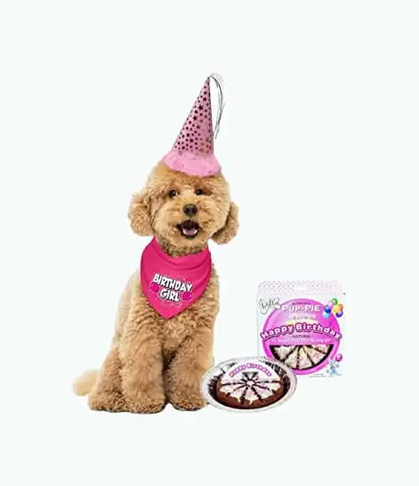 Product Image of the Dog Birthday Party Pack