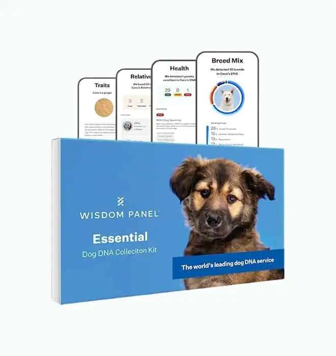 Product Image of the Dog DNA Test