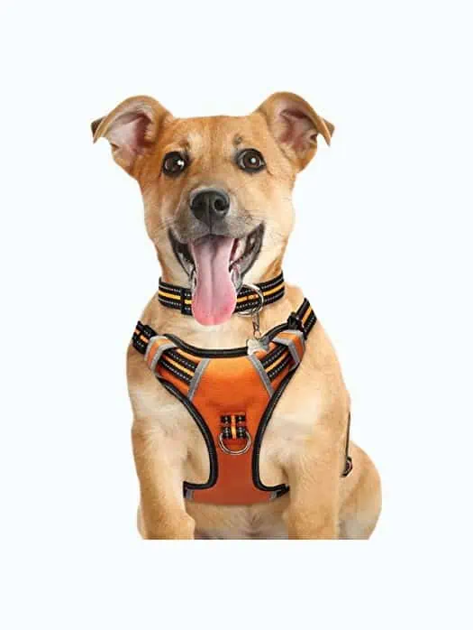 Product Image of the Dog Harness