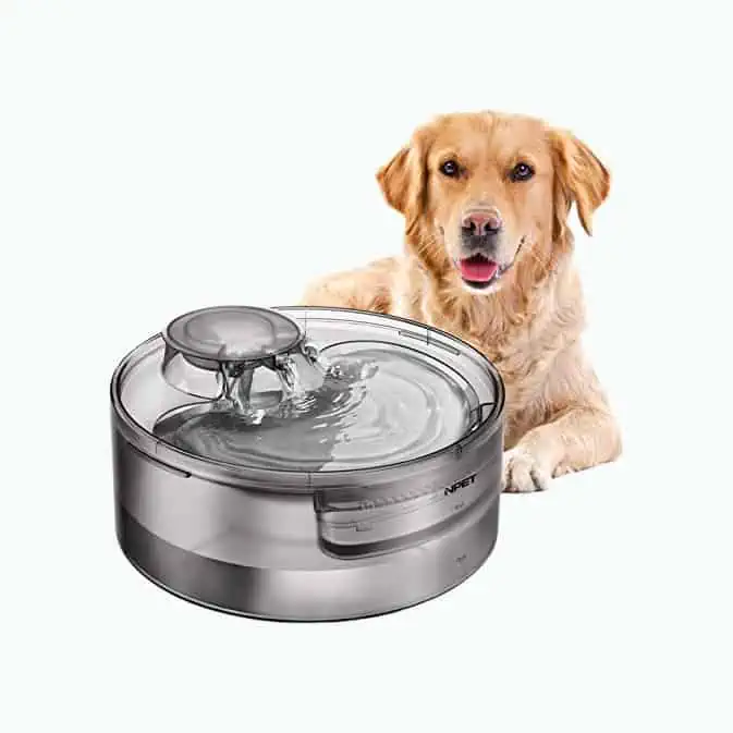 Product Image of the Dog Water Fountain