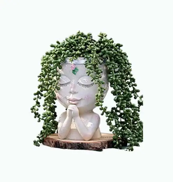 Product Image of the Face Flower Planter