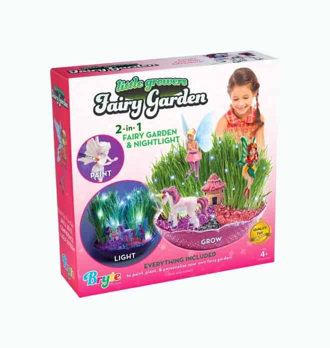 Product Image of the Fairy Garden Craft Kit