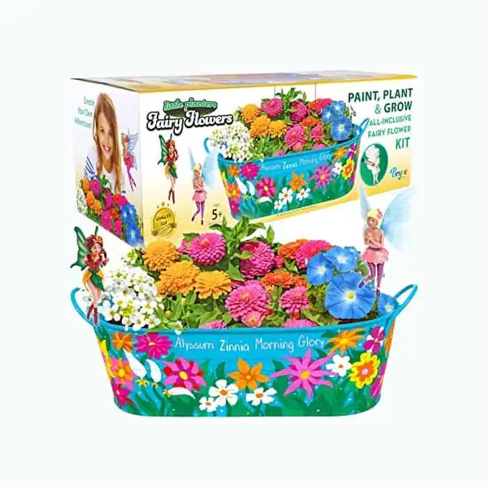 Product Image of the Fairy Garden Growing Kit