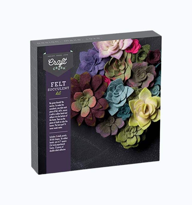 Product Image of the Felt Succulents Craft Kit