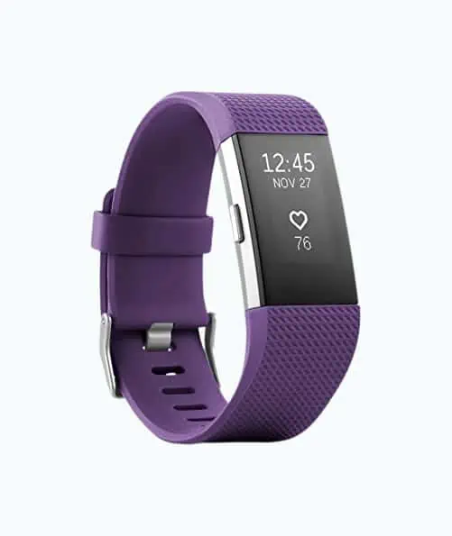 Product Image of the Fitbit With Wristband