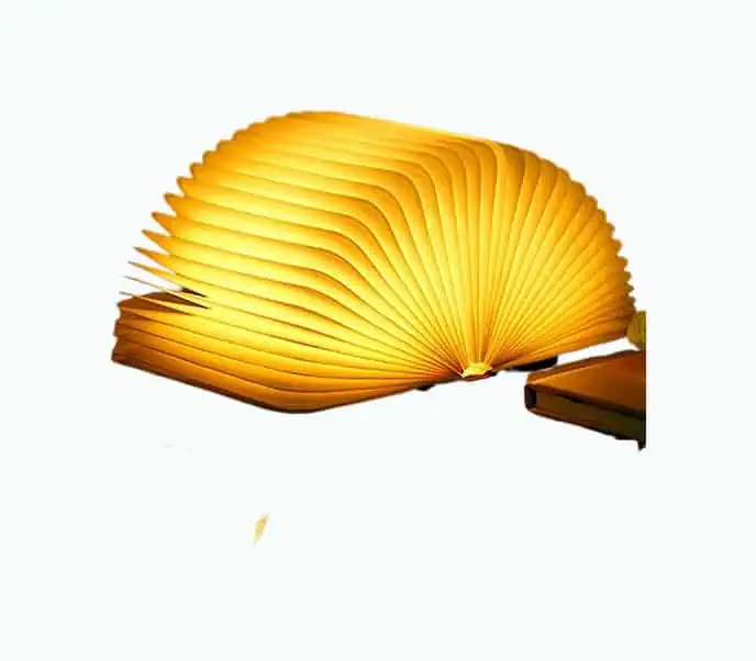 Product Image of the Folding Book Lamp