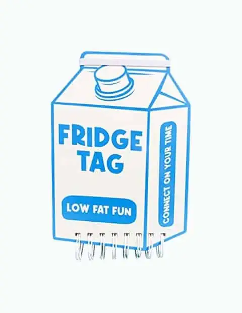 Product Image of the Fridge Tag Game