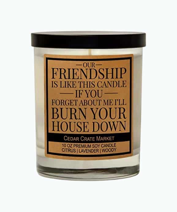 Product Image of the Friendship Is Like This Candle