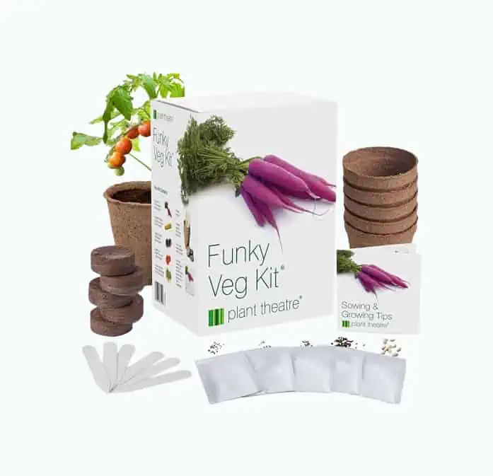 Product Image of the Funky Veg Garden Starter Kit
