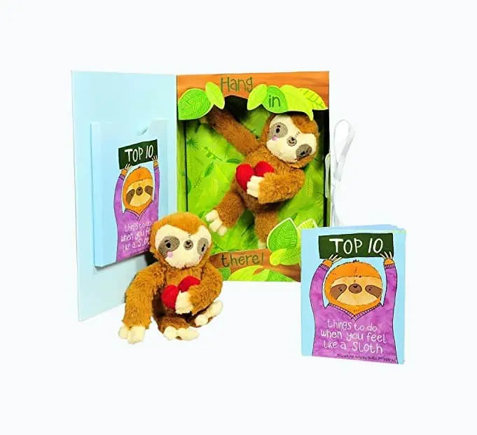 Product Image of the Get Well Sloth