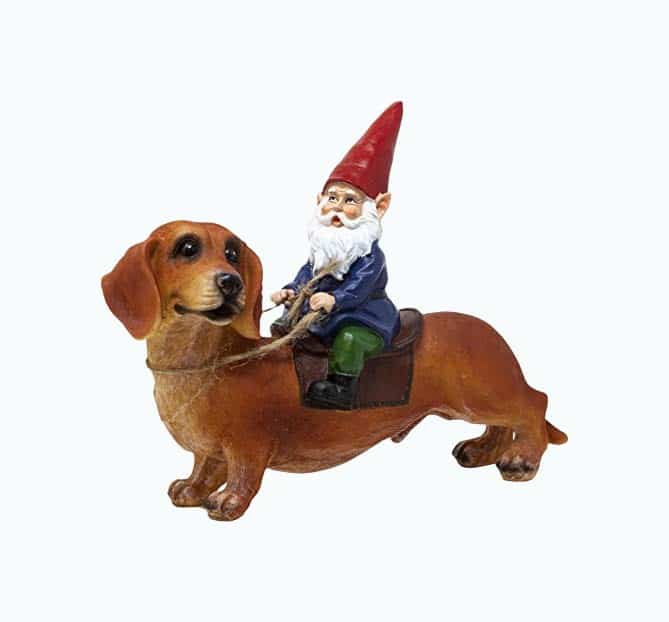 Product Image of the Gnome and a Dachshund Garden Gnome Statue