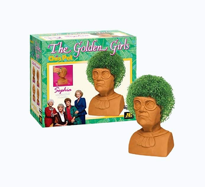 Product Image of the Golden Girls Chia Pet