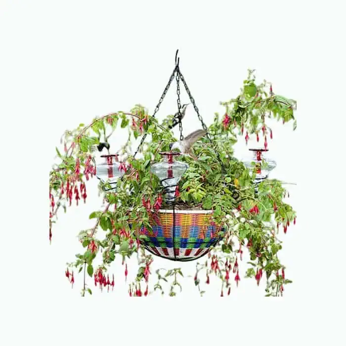 Product Image of the Hanging Basket Hummingbird Feeder