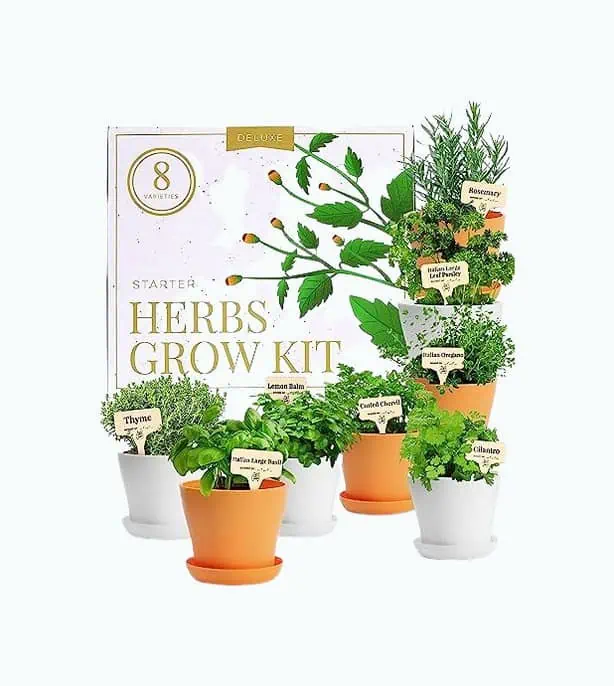 Product Image of the Herb Garden Kit