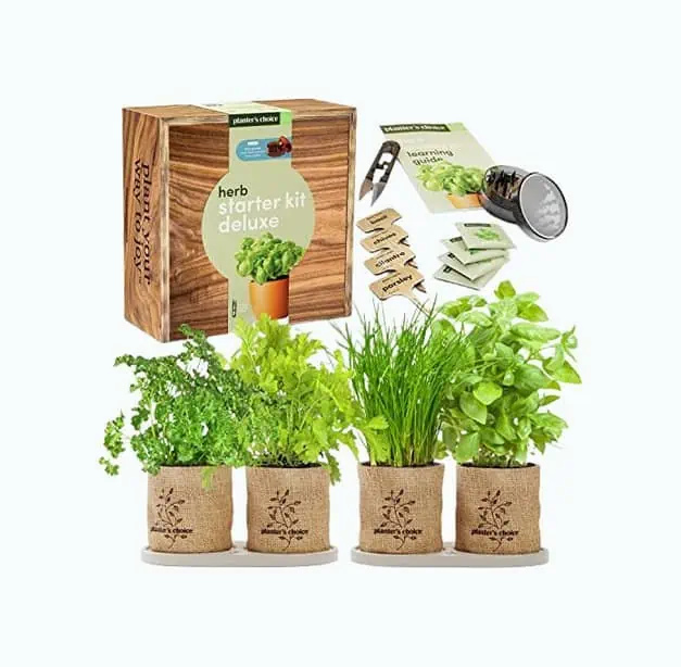 Product Image of the Herb Garden Starter Kit