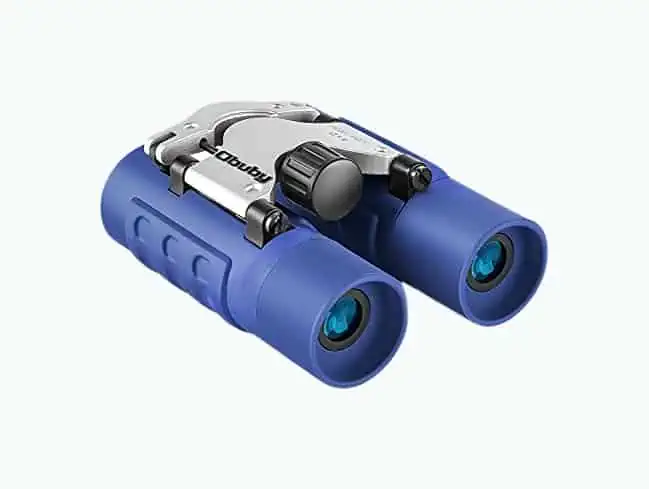 Product Image of the High-Resolution Binoculars