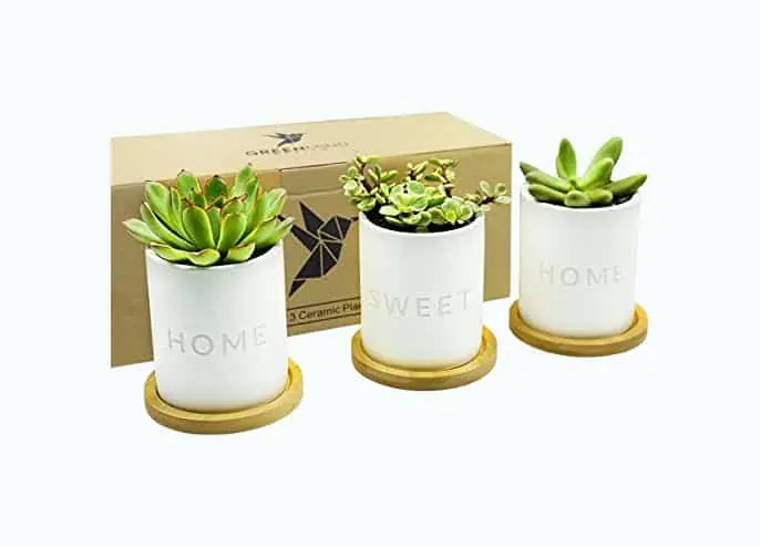 Product Image of the Home Sweet Home Ceramic Pots - 3.5 inch