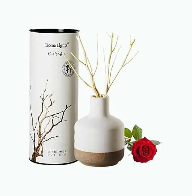 Product Image of the HomeLights Reed Diffuser for Home