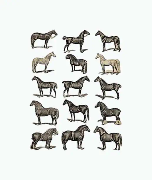 Product Image of the Horse Print