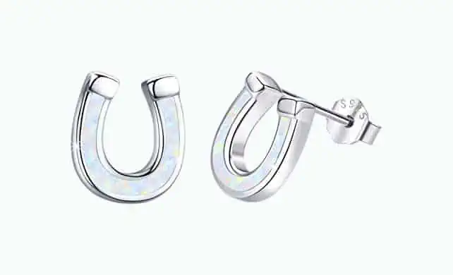 Product Image of the Horseshoe Earrings