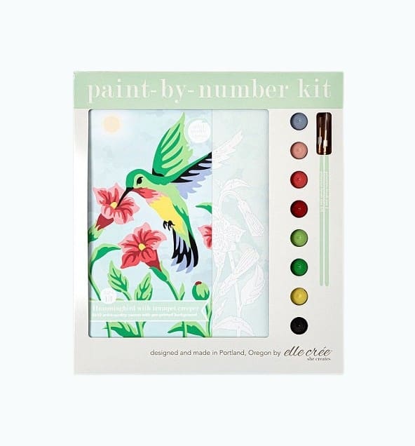 Product Image of the Hummingbird Paint-By-Number Kit