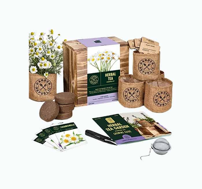 Product Image of the Indoor Herb Garden Seed Starter Kit