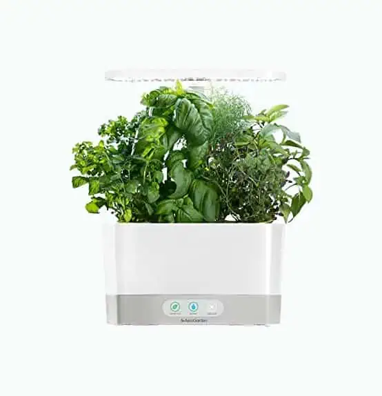 Product Image of the Indoor Hydroponic Garden