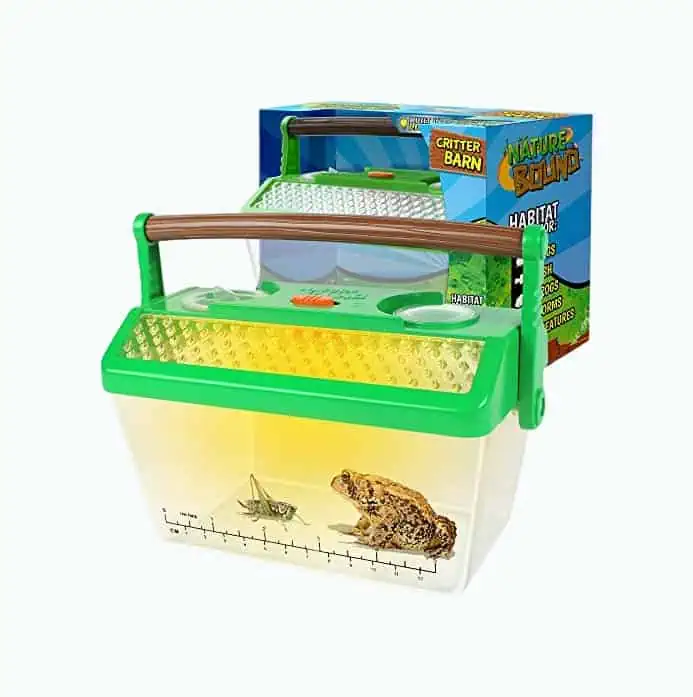 Product Image of the Insect Collecting Kit