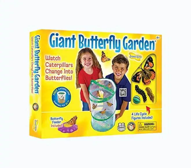 Product Image of the Insect Lore Giant Butterfly Garden