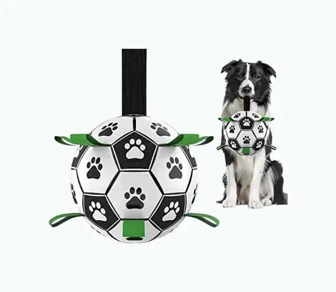 Product Image of the Interactive Soccer Ball Toy