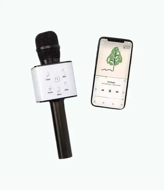 Product Image of the Karaoke Microphone Speaker