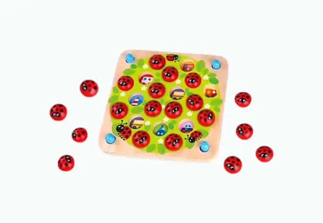 Product Image of the Ladybug's Garden Memory Game
