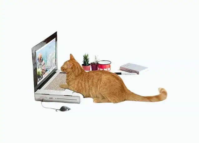 Product Image of the Laptop Cat Scratching Pad
