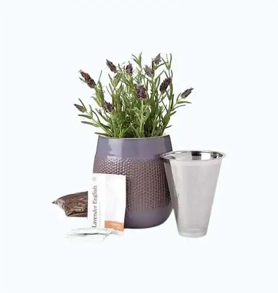 Product Image of the Lavender Grow Kit
